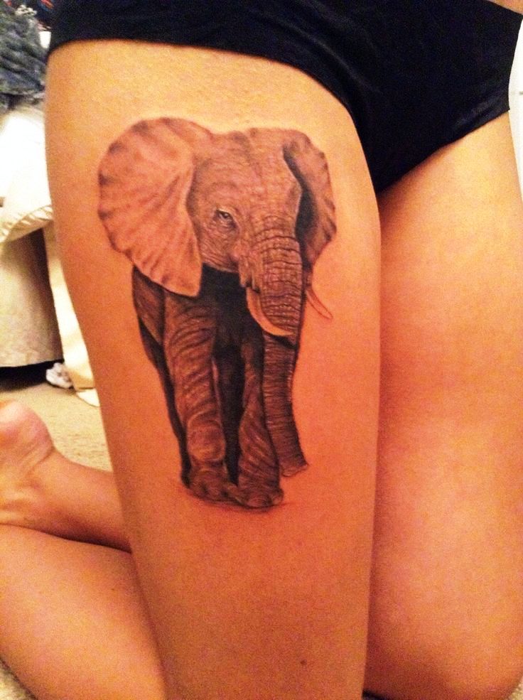 Elephant Tattoo On Thigh iiii
