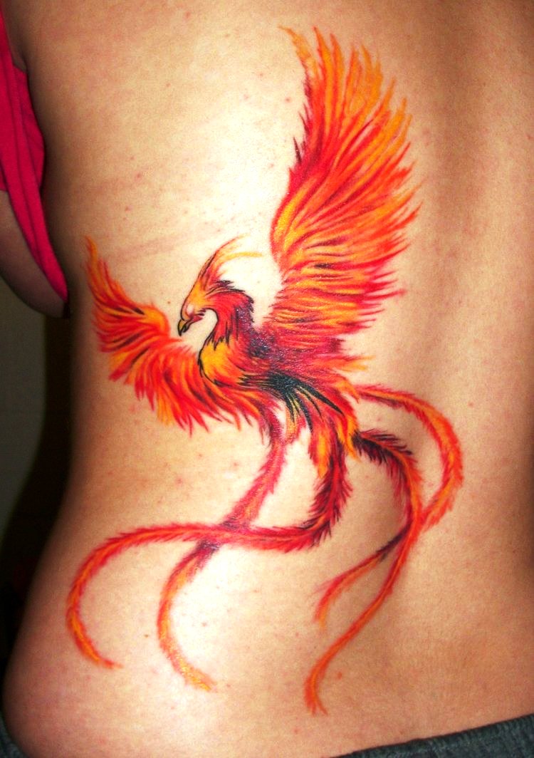 Phoenix Rising From the Ashes Tattoo Designs