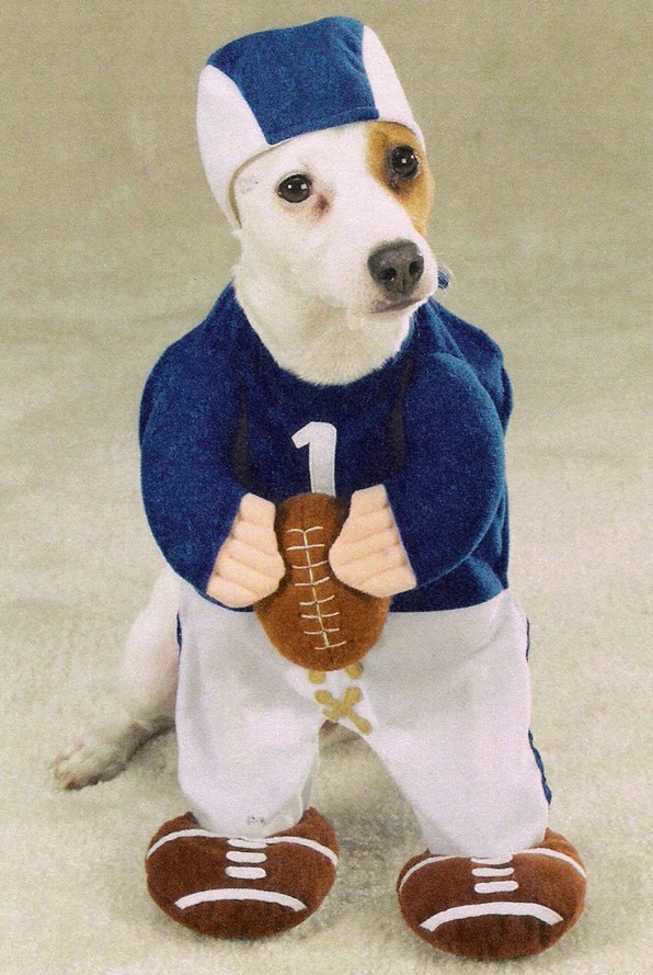 Football Player Halloween Dog Costum