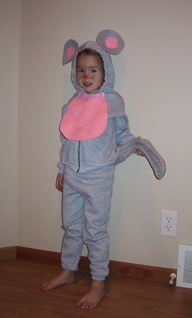 Homemade Mouse Costume