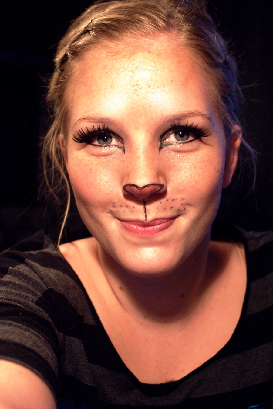 Lion Makeup ideas for halloween