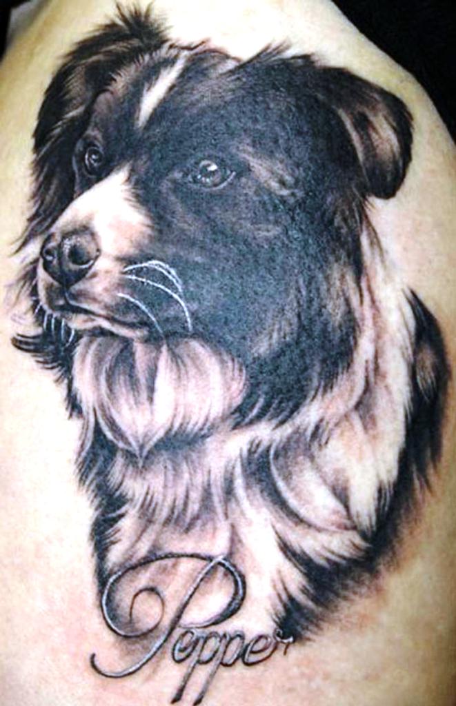 Border Collie Dog Tattoo