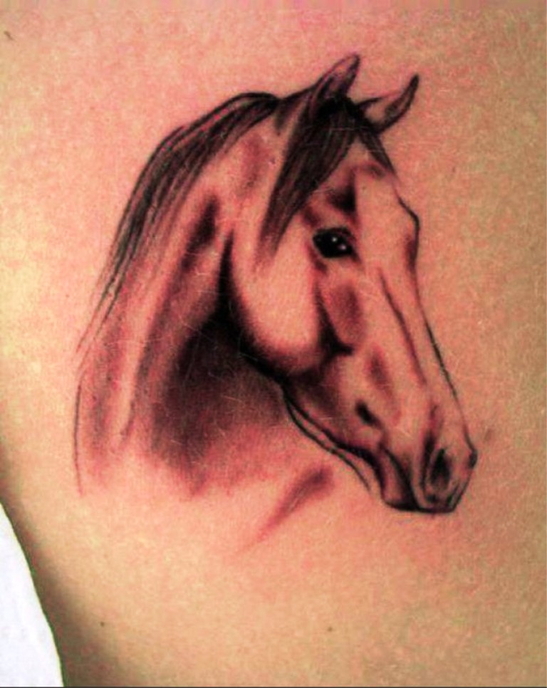 Horse Tattoo.
