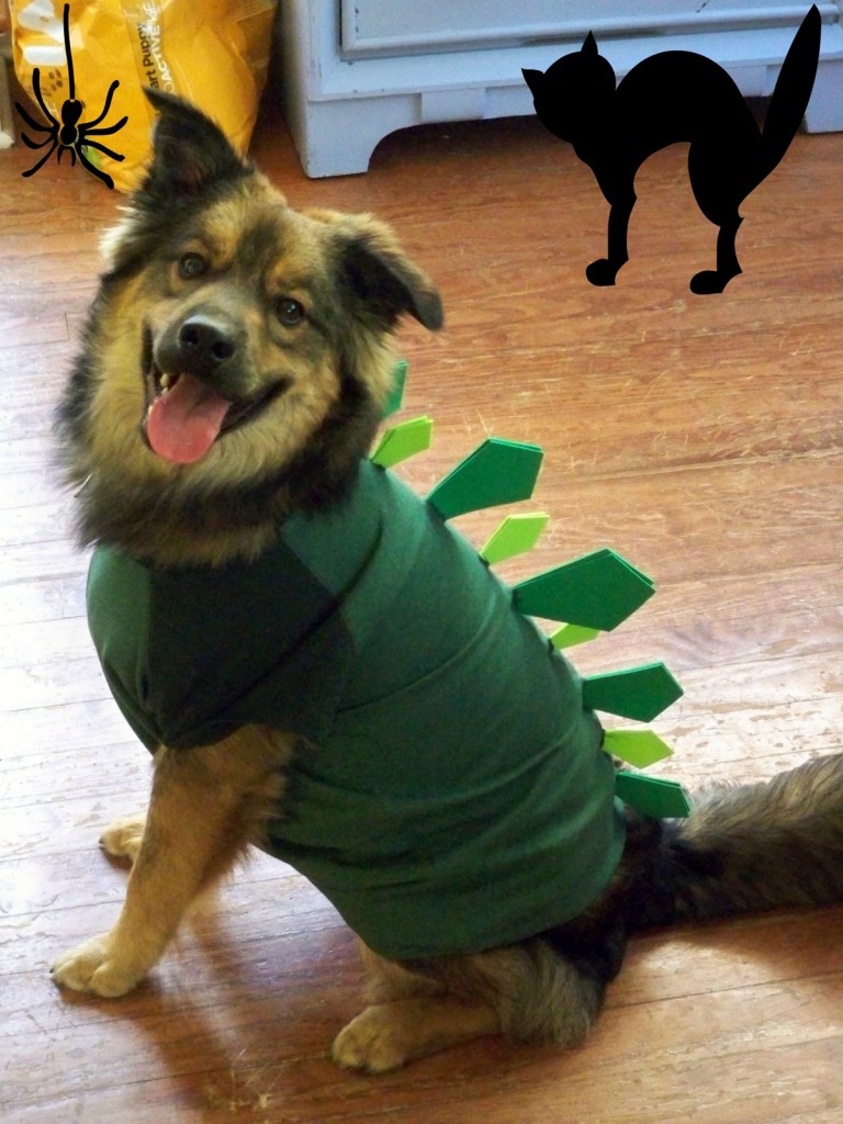 Simple Dog Halloween Costume