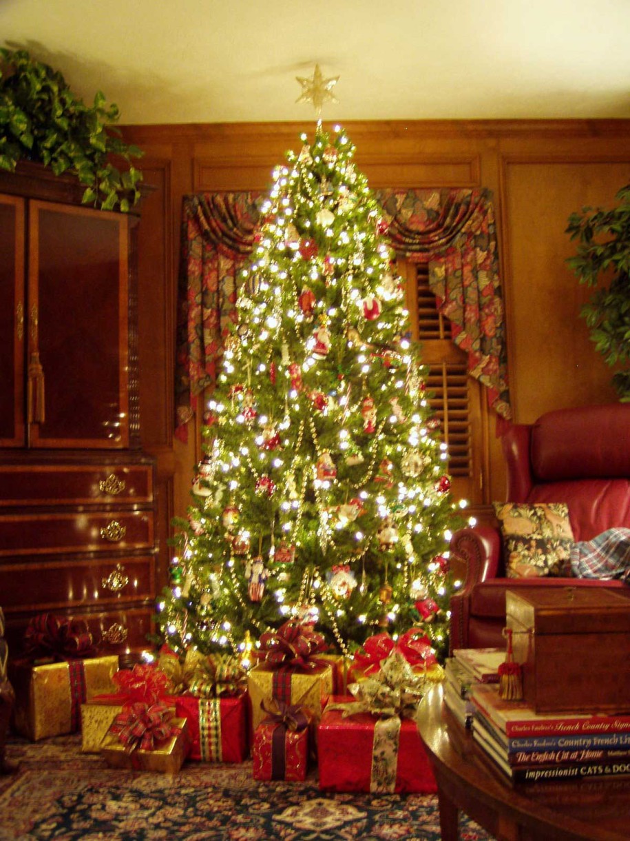 traditional-christmas-trees