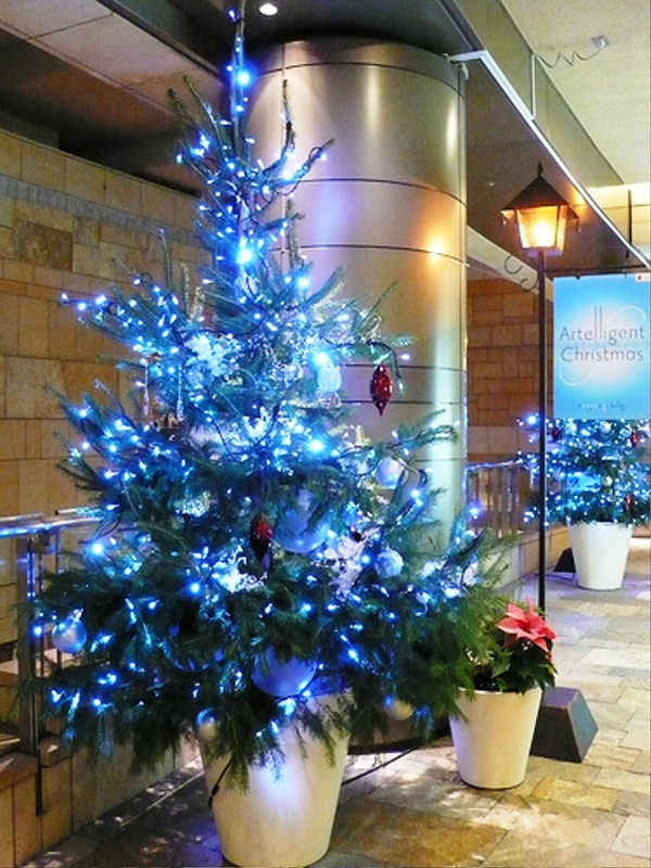 blue-white-christmas-tree-with-light