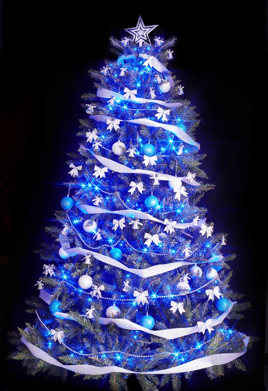 christmas-tree-with-lights