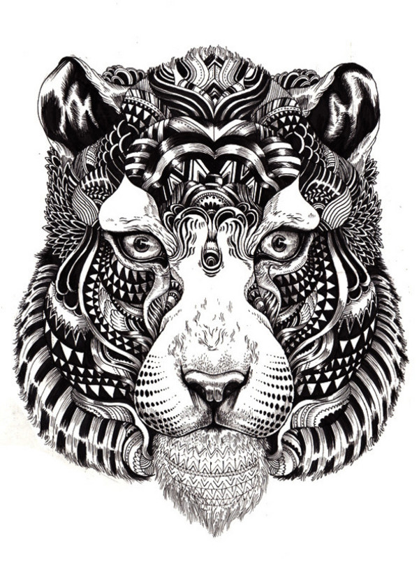 animal-illustrations-by-iain-macarthur