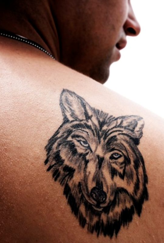 bear-head-tattoo-designs