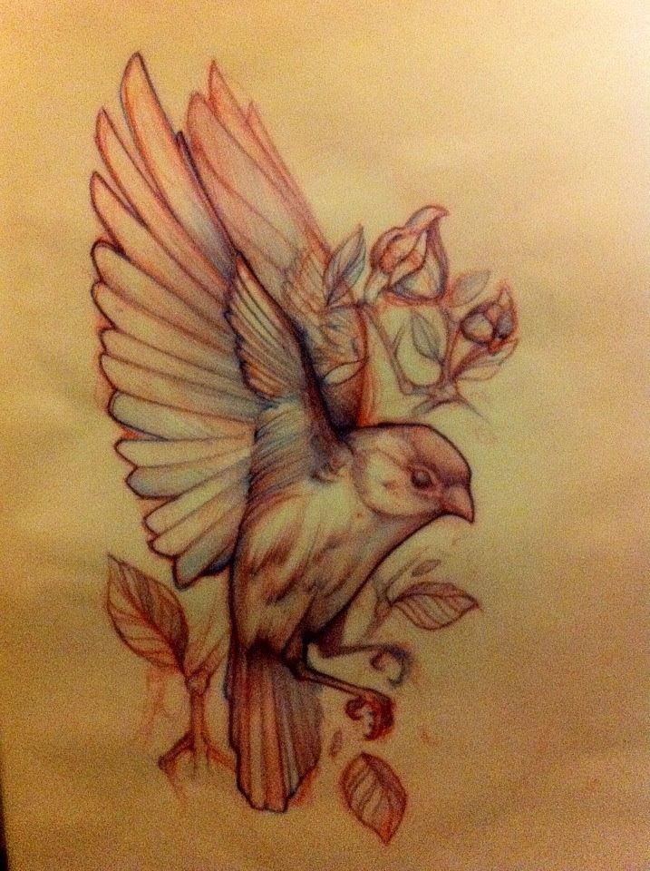 bird-tattoo-sketch