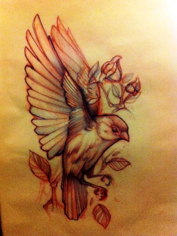 bird-tattoo-sketch