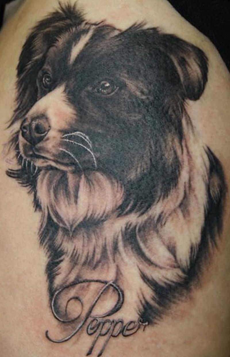 border-collie-dog-tattoo