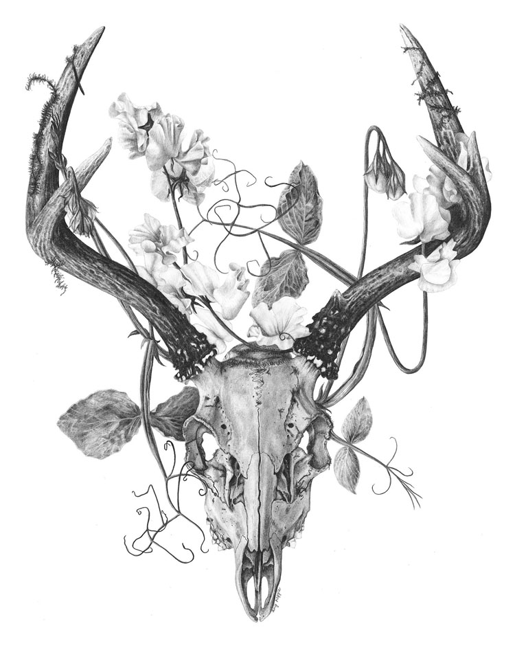 deer-skull-with-flowers-tattoo
