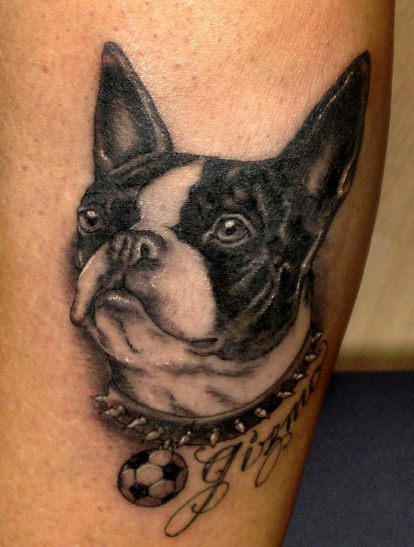 dog-paw-tattoo-designs