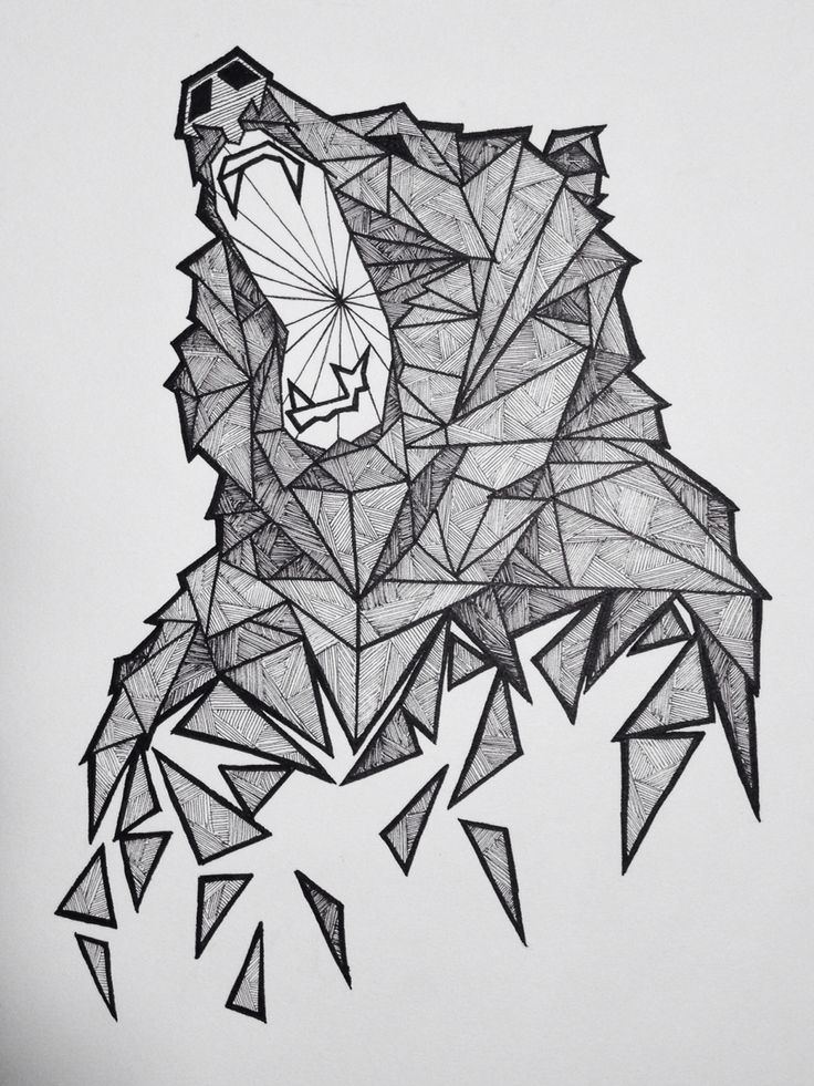 geometric-bear-sketch