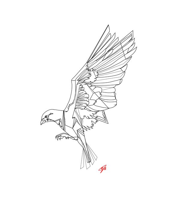 geometric-bird-flying-forward