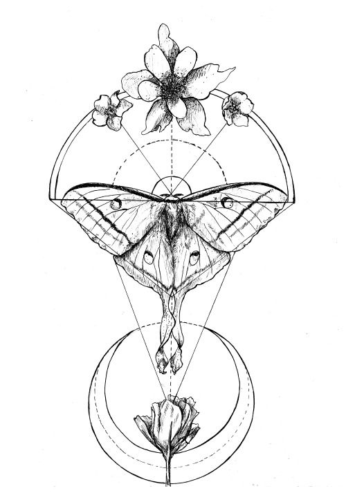geometric-moth-tattoo-design